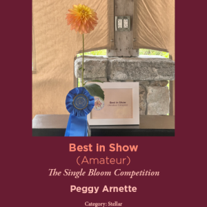 Best in Show Amateur Peggy Arnette